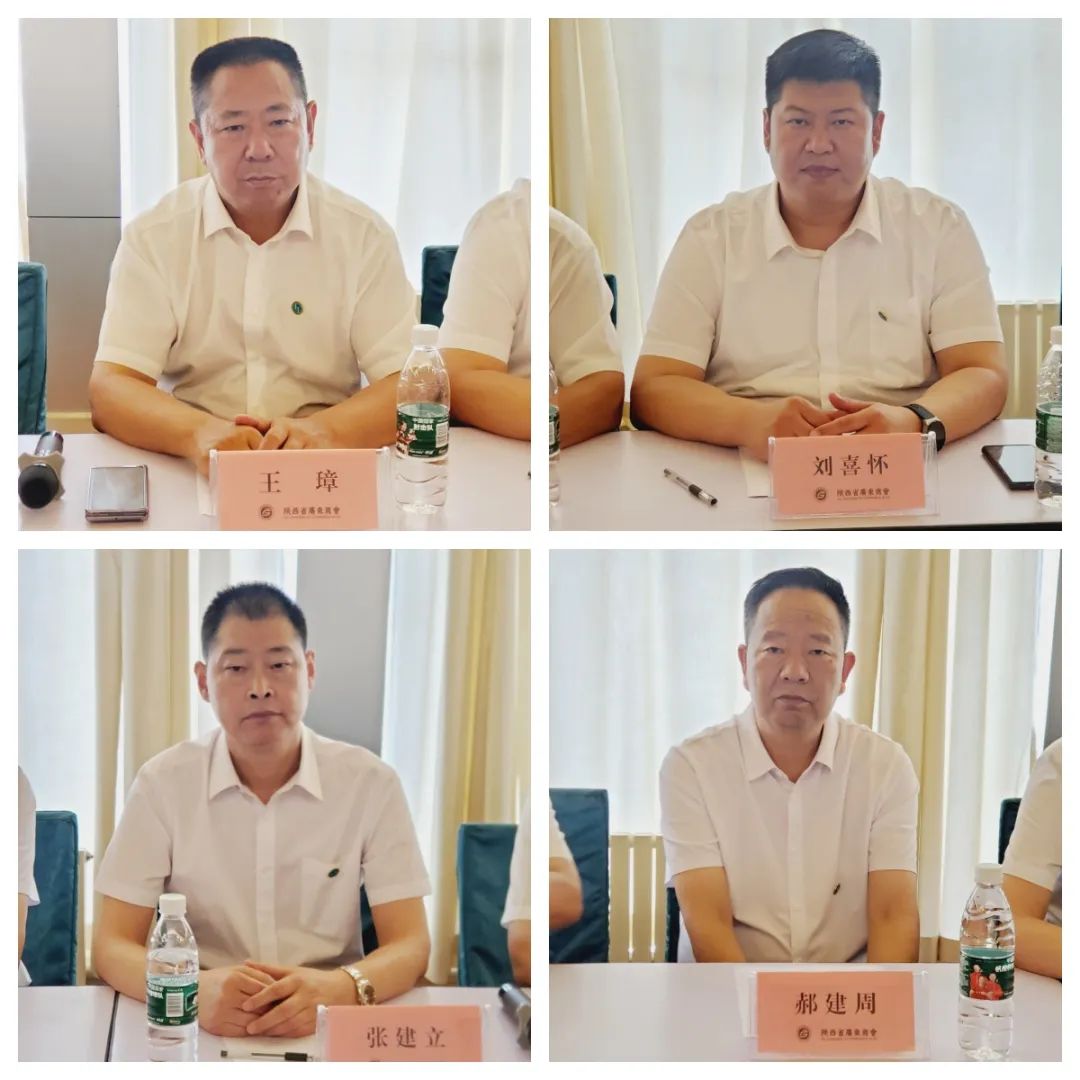 1731619004692933.jpg 7.jpg