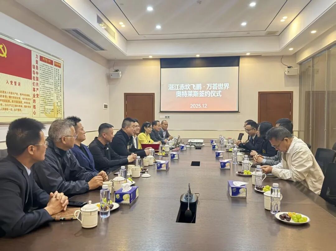 1765897556809291.jpg 12.jpg